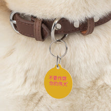 Load image into Gallery viewer, Chinese Pet Tag

