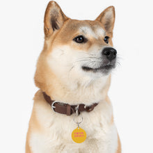 Load image into Gallery viewer, Chinese Pet Tag
