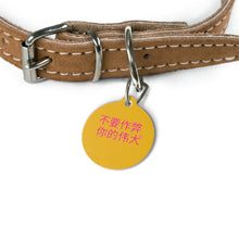 Load image into Gallery viewer, Chinese Pet Tag
